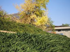 -元大都城垣遗址公园