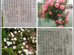 -河北省园博园