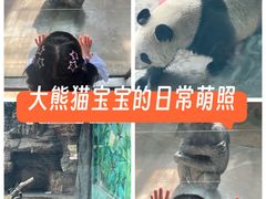 -石家庄市动物园