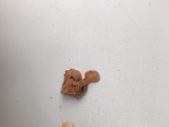 -兰州马子禄牛肉面(文景公园店)