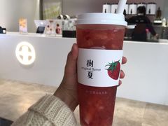 -树夏(金楠天街店)