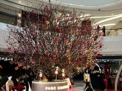 -Hollister(天环广场店)