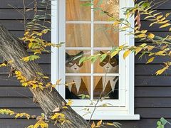 -三鹰之森吉卜力美术馆