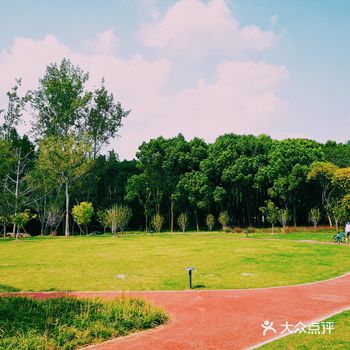 去过最好的生态公园,没有之一