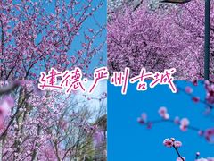 -梅城古镇