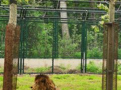 -秦皇岛野生动物园