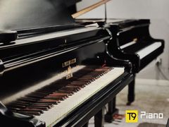 -Melody Mentor音乐私教馆(朝外·悠唐店)