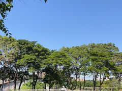 -陶缘一号·四季缘·老字号顺德菜·户外婚礼家宴(西滘店)