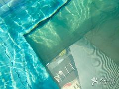 -上海浦东康桥绿地假日酒店
