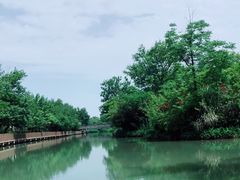 -西溪国家湿地公园