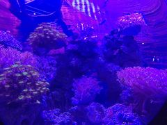 -烟台海昌鲸鲨海洋公园