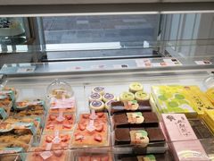 -蒲公英(五里店)