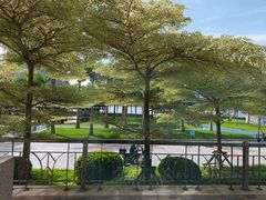 -厦门海沧正元希尔顿逸林酒店開全日餐厅