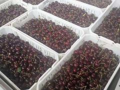 -唐桥水果批发市场