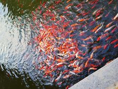 -太白山御龙湾温泉