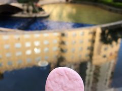 -惠州惠阳丽景国际花园酒店(市政广场店)