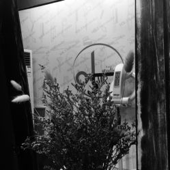 -M3 Hair Studio