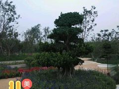 -武清南湖绿博园