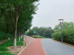 -大兴滨河森林公园