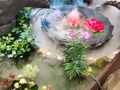 -东椰·海南椰子鸡火锅(朝阳门店)