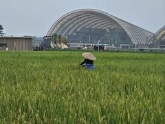 -中国天府农业博览园