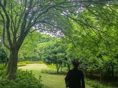 -尚贤河湿地