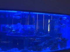 -上和臻品中国菜(花园街店)