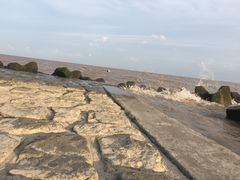 -南汇嘴观海公园