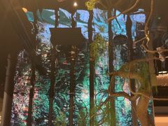 -桂满陇·海市蜃楼·黑金(国金店)