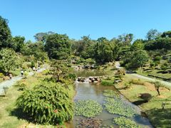 -东莞植物园