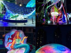 -海合安成都极地海洋公园