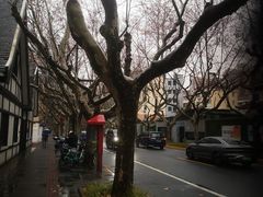 -一尺花园(安和花园店)