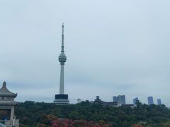 -龟山风景区-龟山电视塔