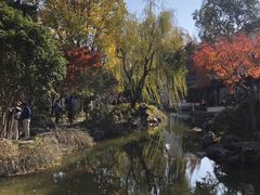 -秋霞圃