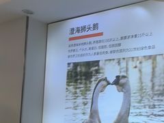 -陆记鹅庄·潮汕菜·狮头鹅(大仟里店)