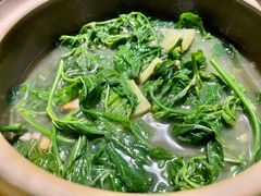 上汤桑叶-猪肉婆私房菜(容桂总店)