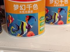 -立邦(三奇环渤海店)