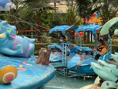 -南宫五洲植物乐园