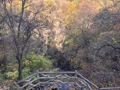 -野三坡百草畔景区