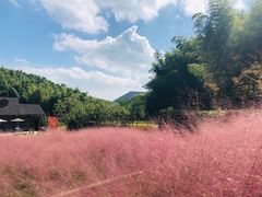 -宁波浙东大竹海景区