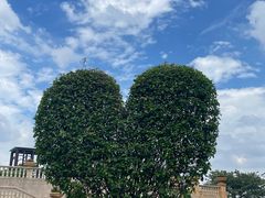 -东莞植物园