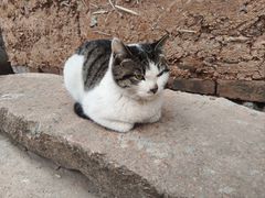 -清漾毛氏文化村