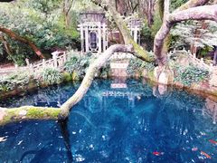 -蝴蝶泉公园