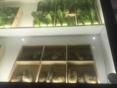 -夫妻肺片·中华老字号·正宗川菜(春熙路店)