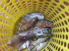 -渔中舟海鲜大排档(普陀沈家门店)