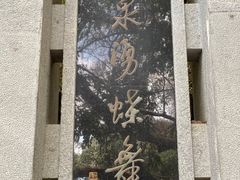 -蝴蝶泉公园