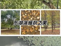 -东湖落雁景区