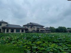 -大千天鹅湾温泉