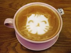 -猫色咖啡·猫咖