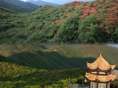 -大围山国家森林公园